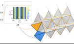 Global topological synchronization on simplicial and cell complexes